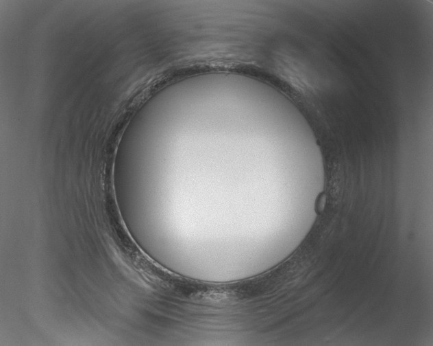 X0000078270639200611030951