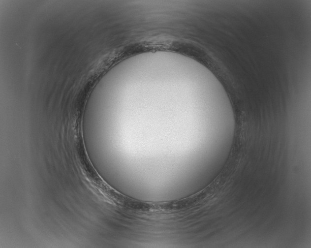X0000078270641200611030951