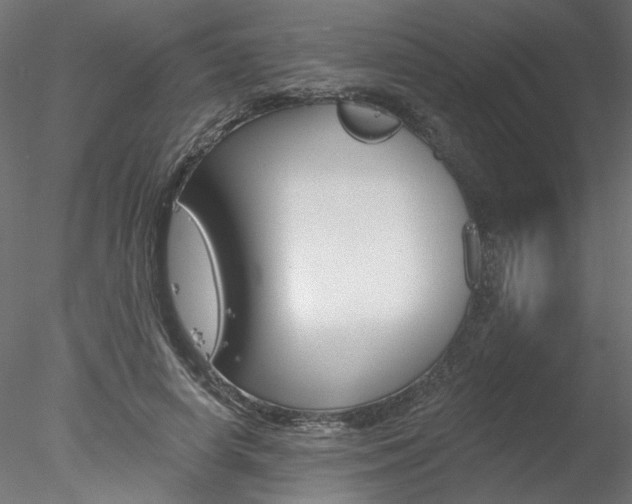 X0000078270642200611030951