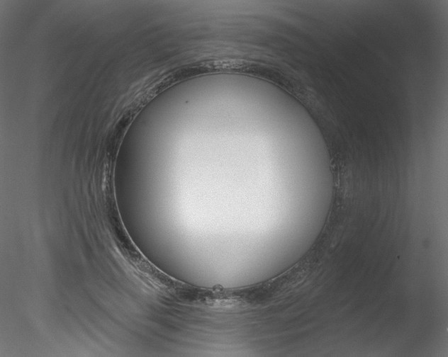 X0000078270645200611030952