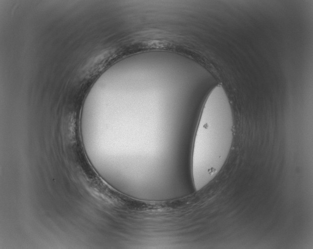 X0000078270646200611030952