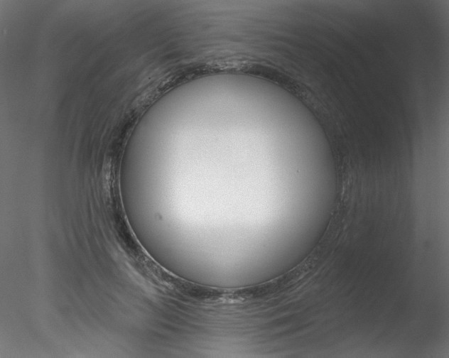 X0000078270647200611030952