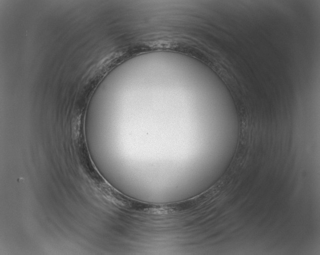 X0000078270652200611030952