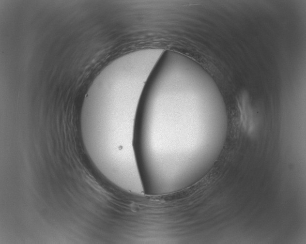 X0000078270654200611030952