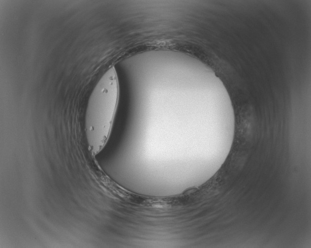 X0000078270658200611030952