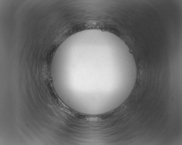 X0000078270659200611030952