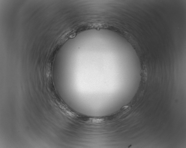X0000078270665200611030952