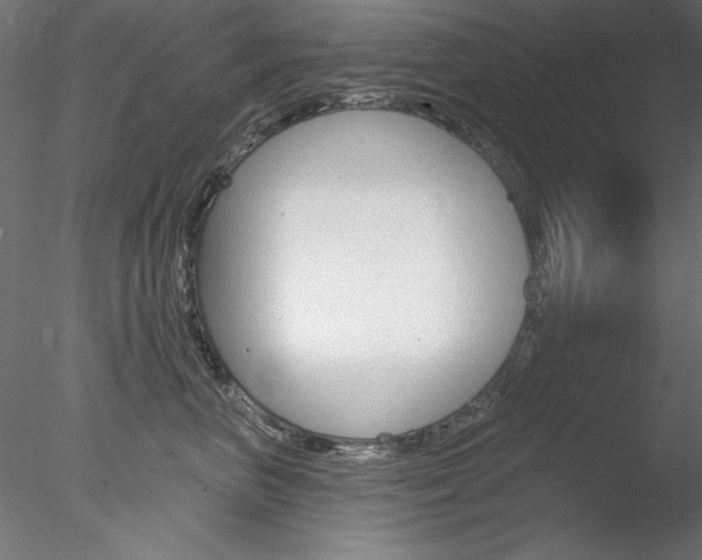 X0000078270667200611030952