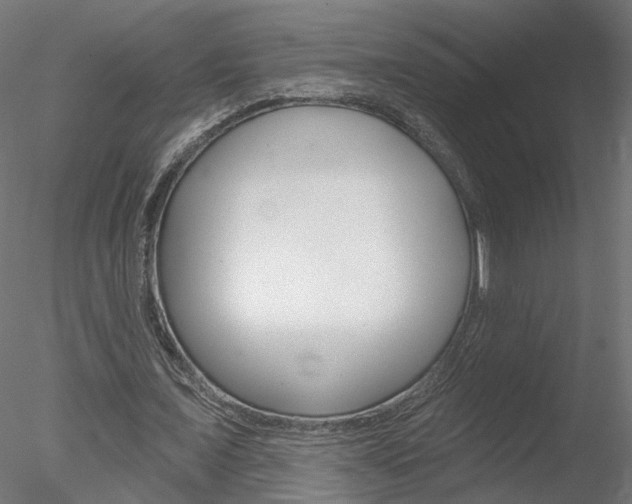 X0000078270675200611030951
