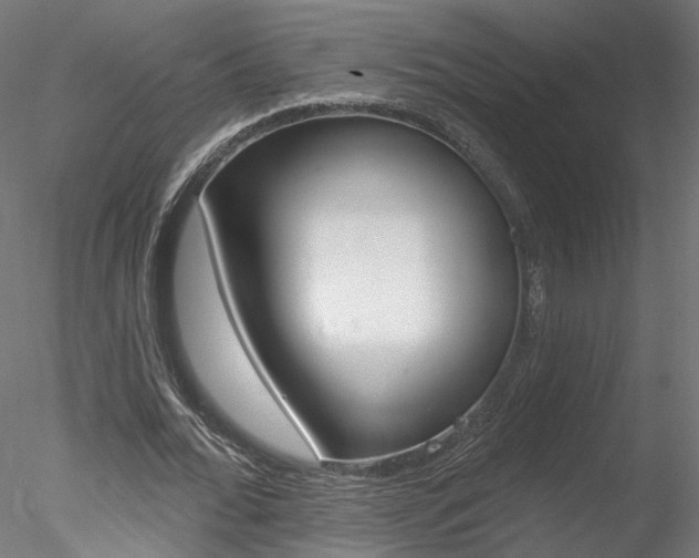X0000078270676200611030951