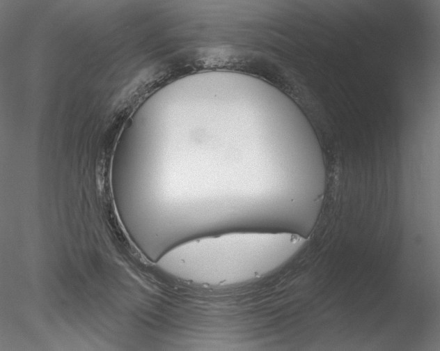 X0000078270691200611030951