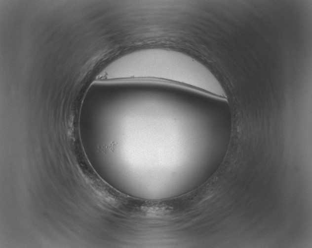 X0000078270693200611030951