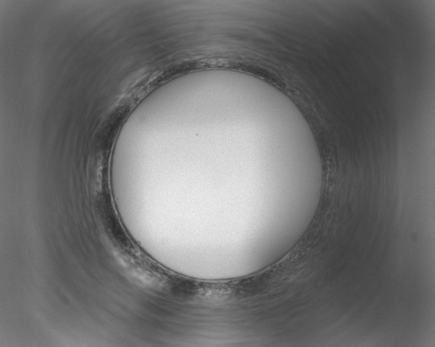 X0000078270694200611030951