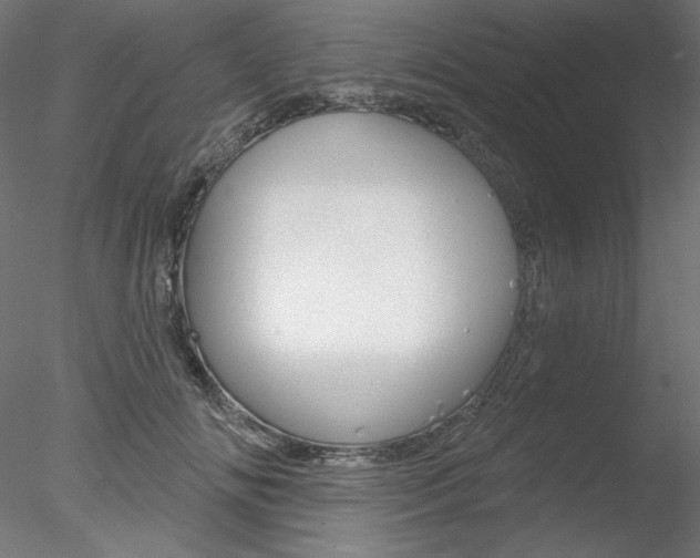 X0000078270702200611030951