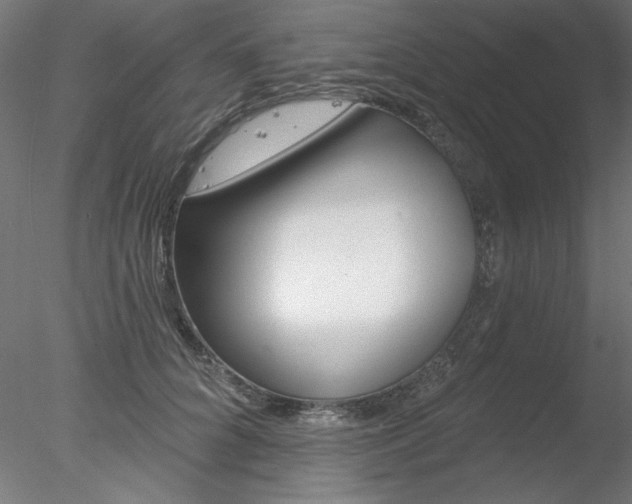 X0000078270704200611030951