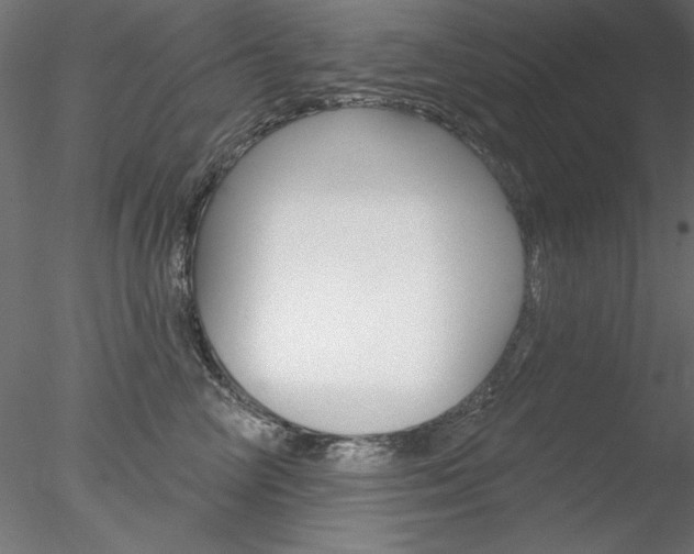 X0000078270714200611030950