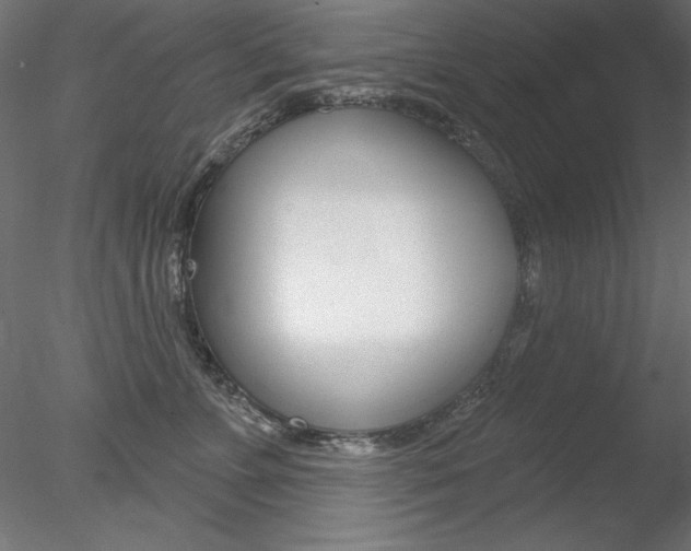 X0000078270715200611030950