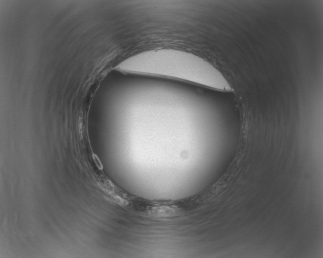 X0000078270716200611030950