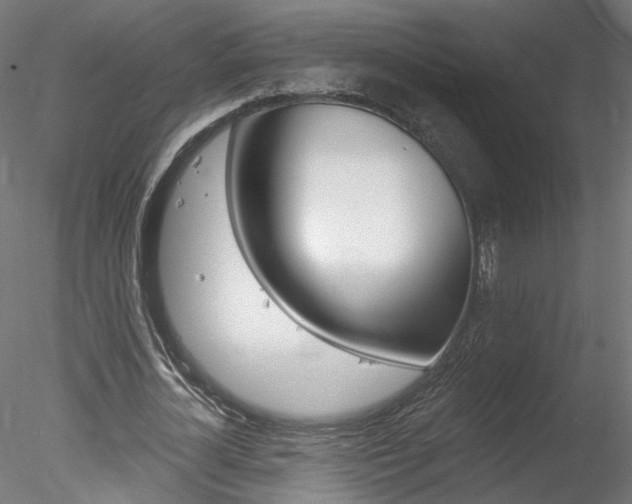 X0000078270724200611030950