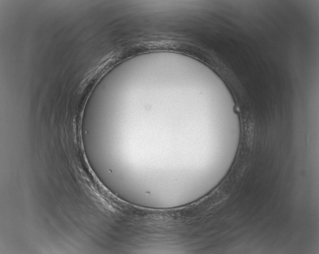 X0000078270729200611030950