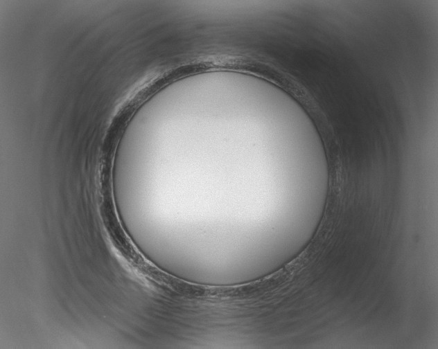 X0000078270730200611030950