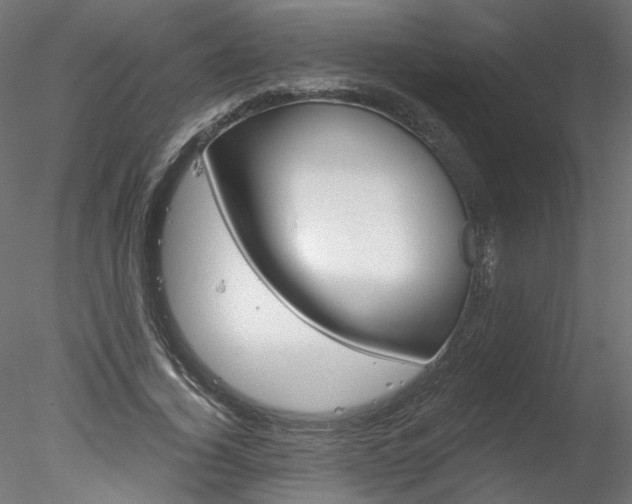 X0000078270732200611030950
