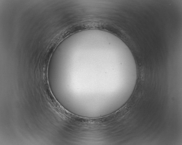 X0000078270737200611030950