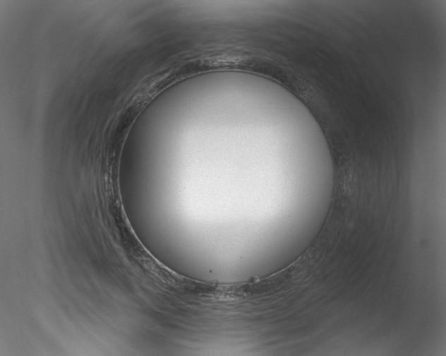 X0000078270743200611030950