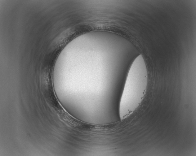X0000078270746200611030950