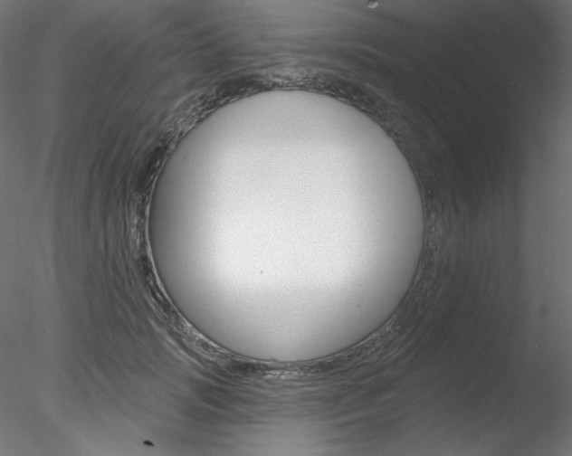 X0000078270749200611030950