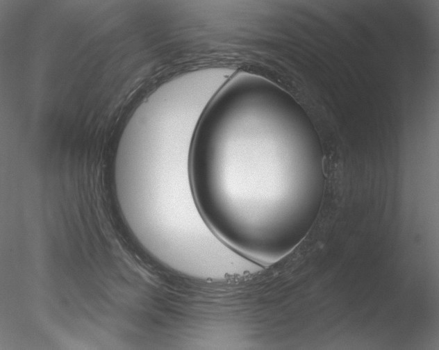 X0000078270750200611030950