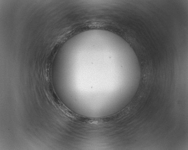 X0000078270755200611030950