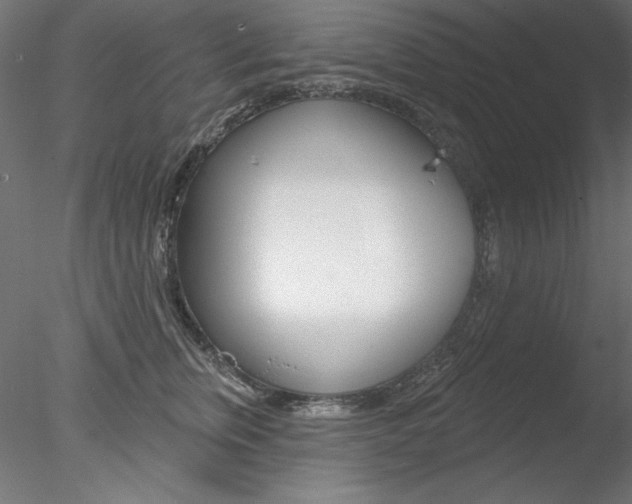 X0000078270759200611030950