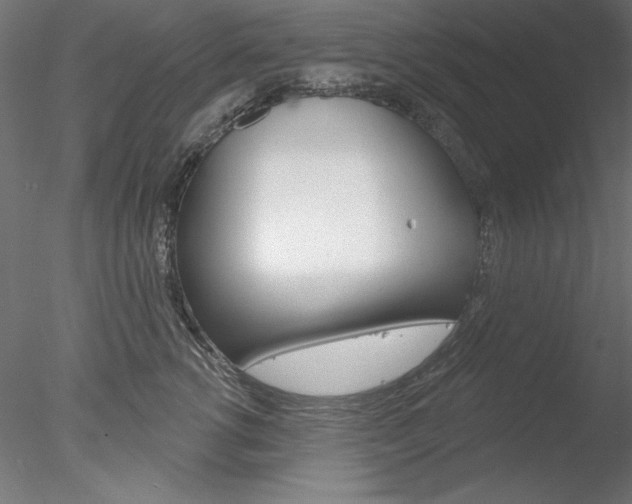 X0000078270762200611030950