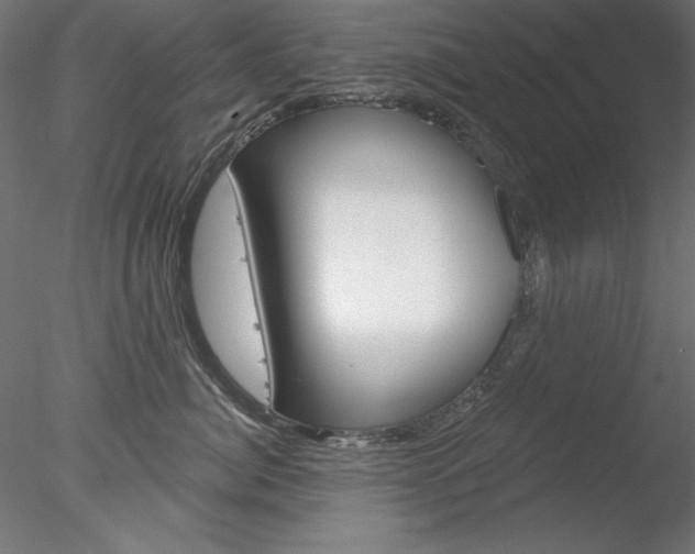 X0000078270764200611030950