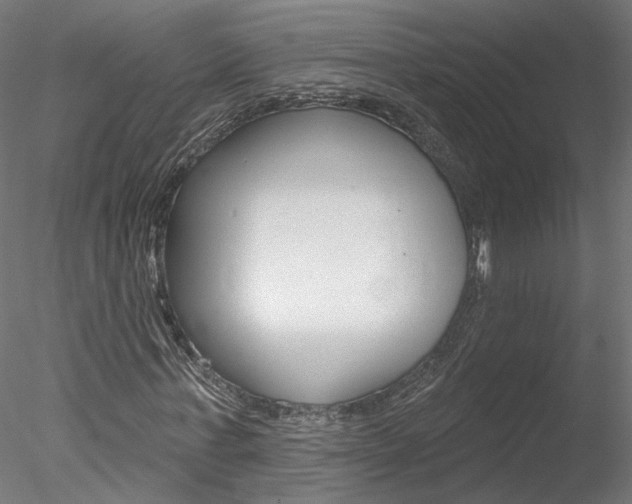 X0000078270771200611030950