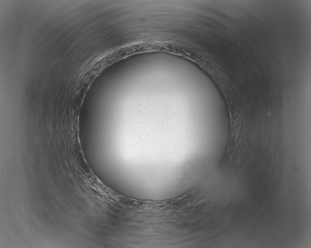X0000078270773200611030949