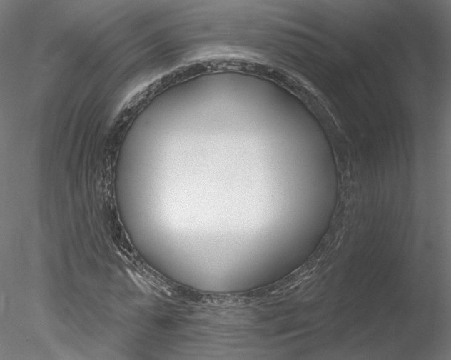 X0000078270775200611030949