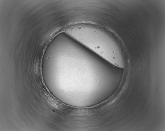 X0000078270777200611030949