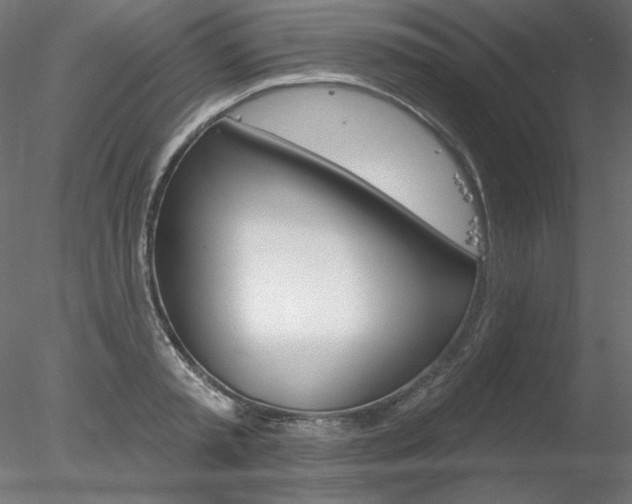 X0000078270797200611030949