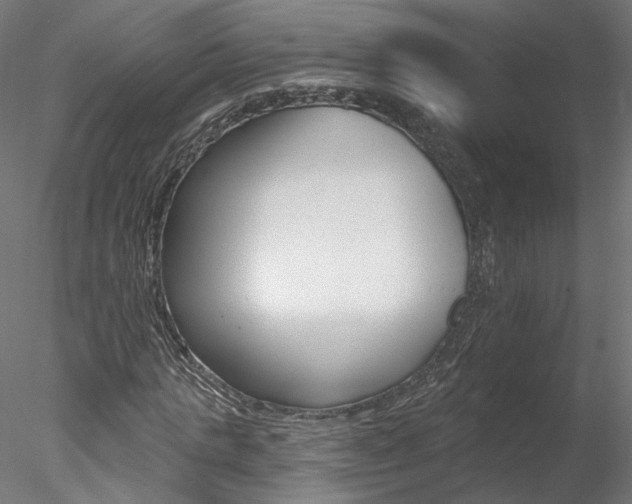 X0000078270821200611030948