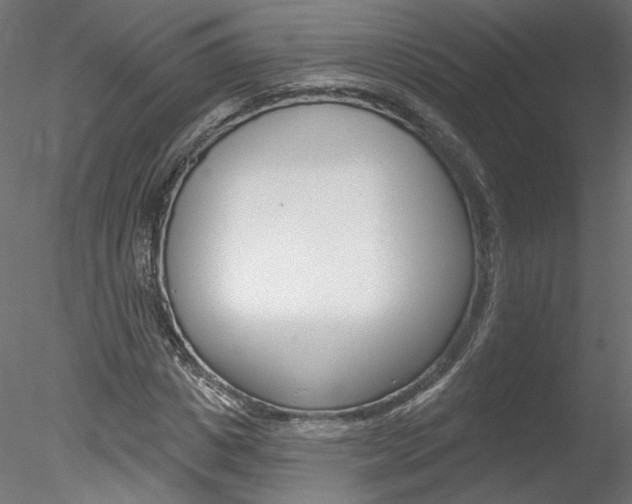 X0000078270825200611030948