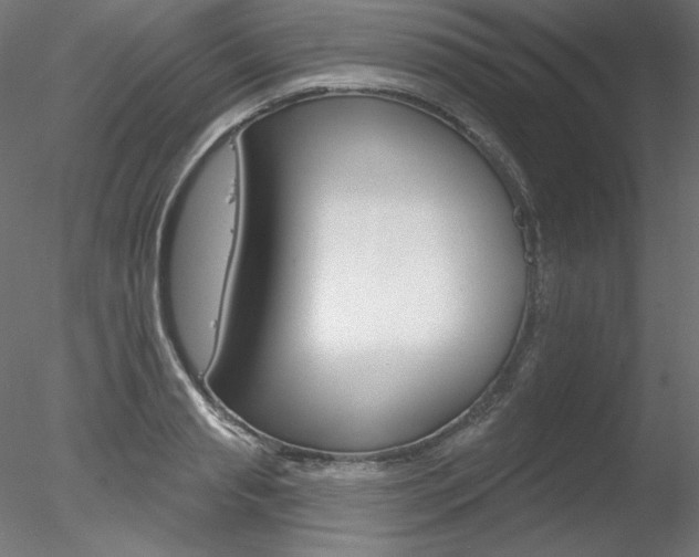 X0000078270845200611030948