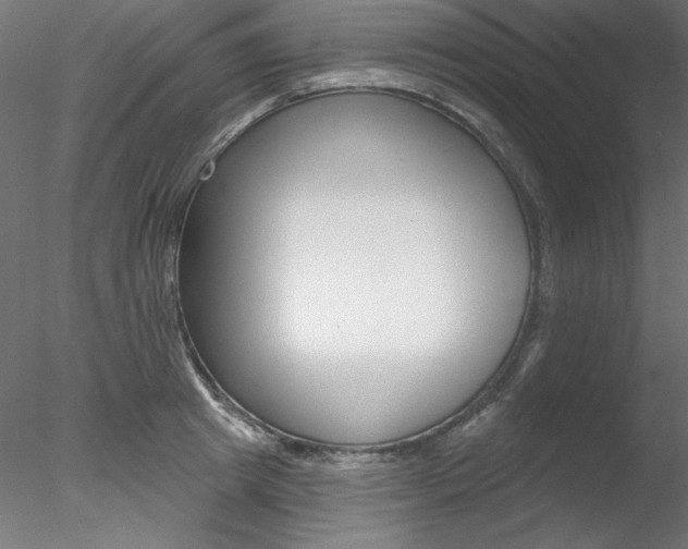 X0000078270849200611030948