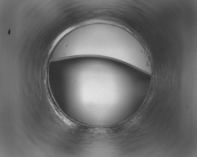 X0000078270862200611030949