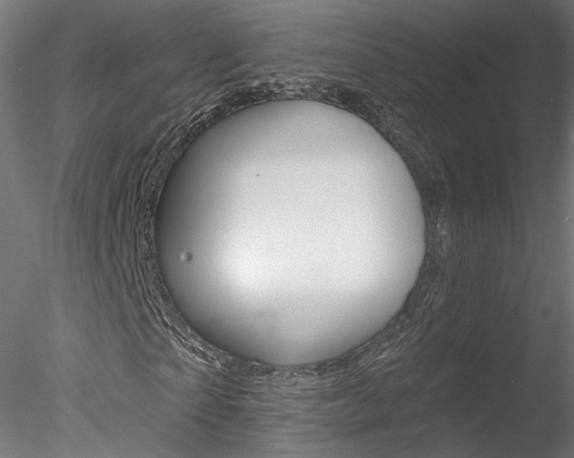 X0000078270865200611030948