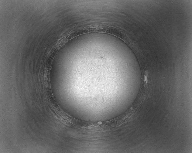 X0000078270867200611030948