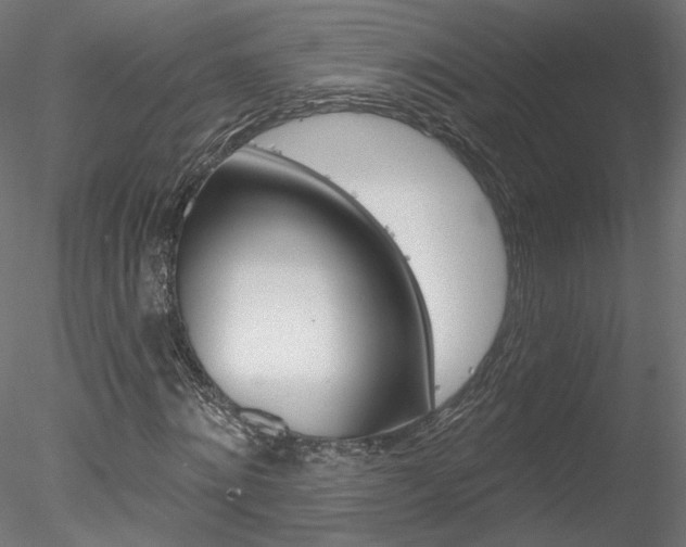 X0000078270868200611030948