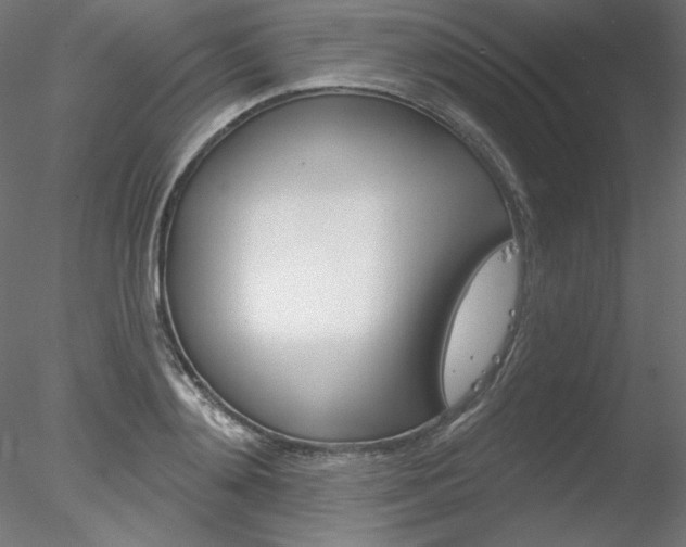 X0000078270892200611030947