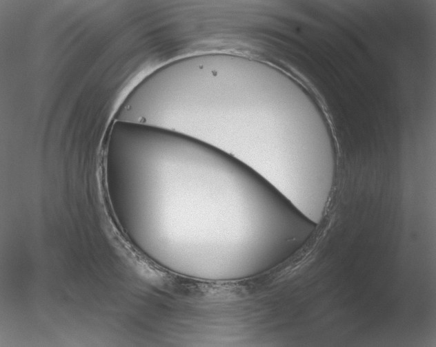 X0000078270899200611030947